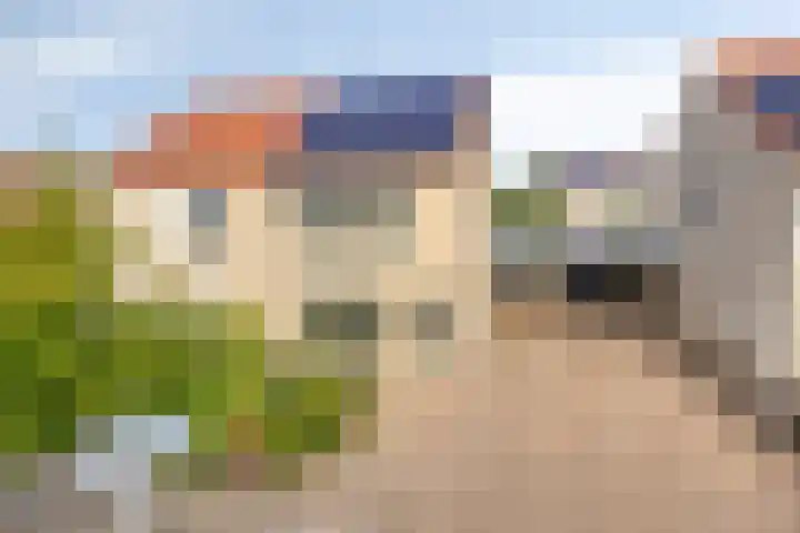Jasmijn 14 Coevorden thumbnail 37