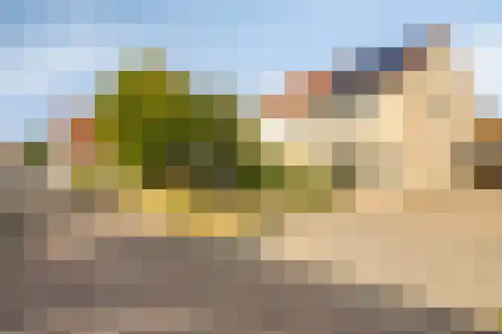 Jasmijn 14 Coevorden thumbnail 39