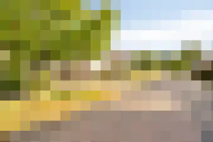 Jasmijn 14 Coevorden thumbnail 40