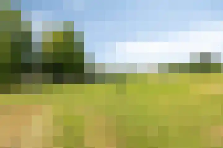Jasmijn 14 Coevorden thumbnail 41