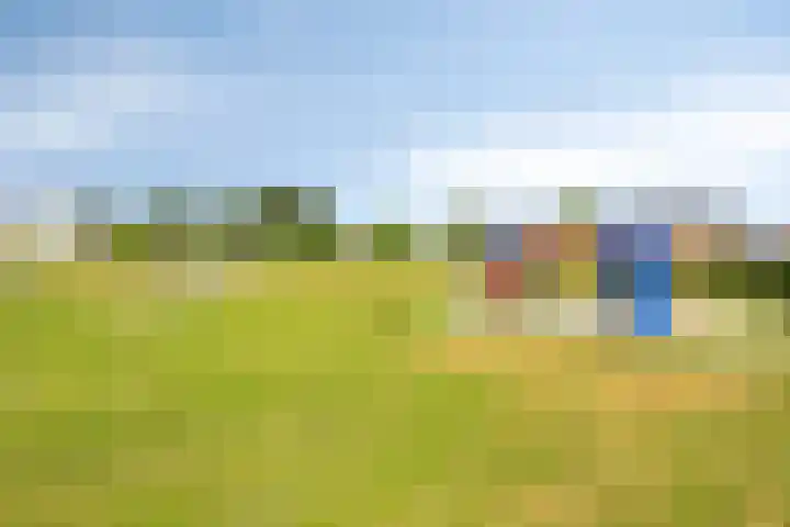 Jasmijn 14 Coevorden thumbnail 42