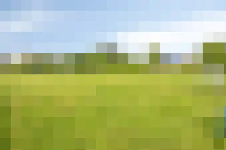 Jasmijn 14 Coevorden thumbnail 43
