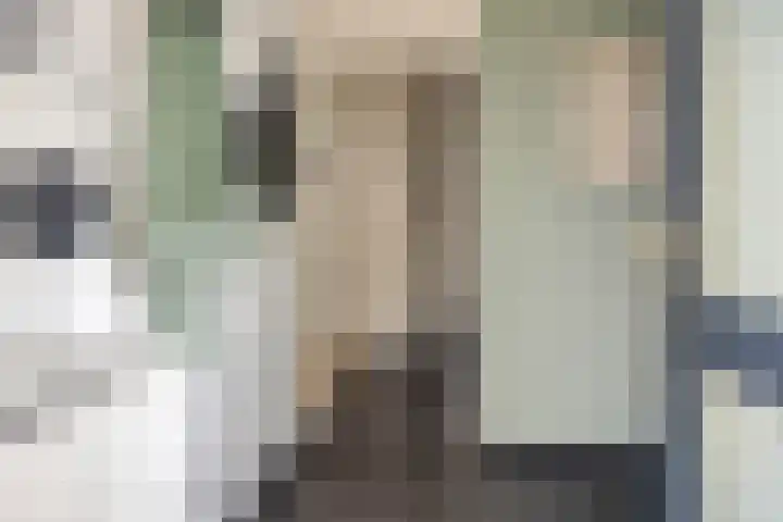 Jasmijn 14 Coevorden thumbnail 6
