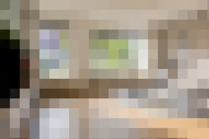 Jasmijn 14 Coevorden thumbnail 8