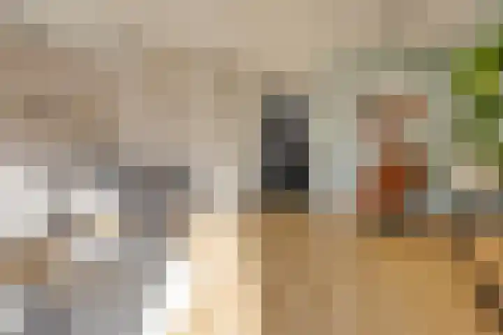 Jasmijn 14 Coevorden thumbnail 9