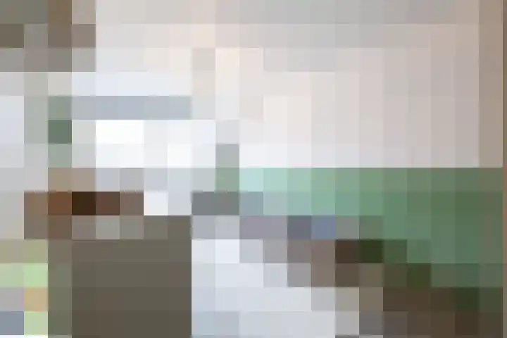 Jasmijn 15 Hellevoetsluis thumbnail 27
