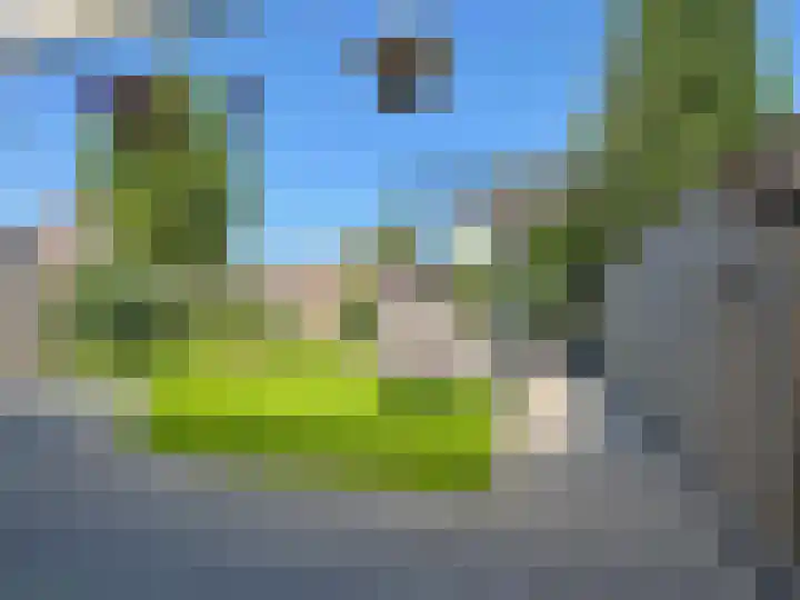 Jasmijn 16 Coevorden thumbnail 16