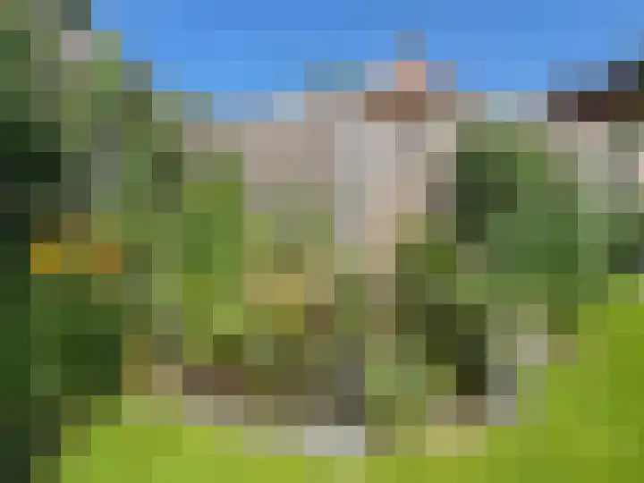 Jasmijn 16 Coevorden thumbnail 18
