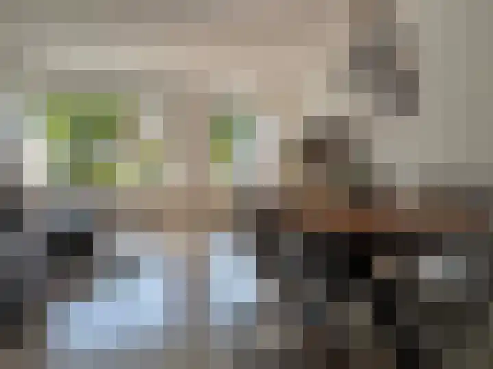 Jasmijn 16 Coevorden thumbnail 5
