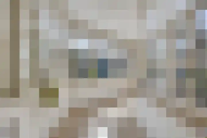 Jasmijn 16 Geffen thumbnail 20
