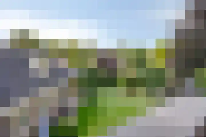 Jasmijn 16 Geffen thumbnail 37