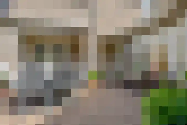Jasmijn 16 Geffen thumbnail 54