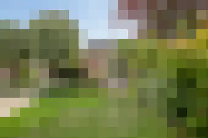 Jasmijn 16 Geffen thumbnail 61
