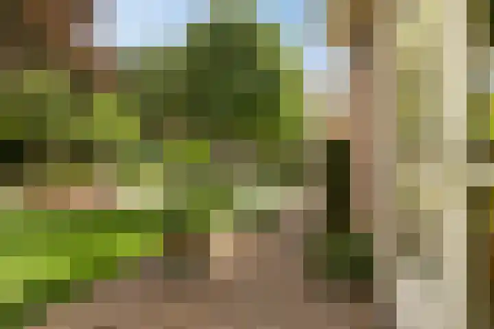 Jasmijn 16 Geffen thumbnail 63