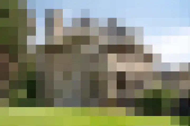 Jasmijn 16 Geffen thumbnail 67