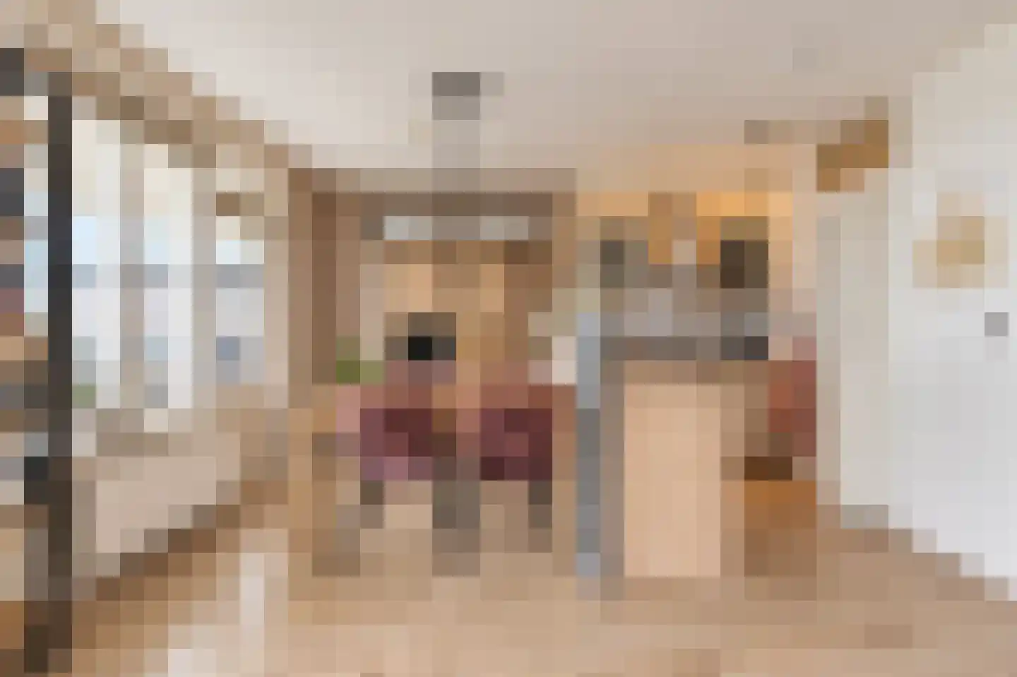 Jasmijn 18 Tiel thumbnail 12