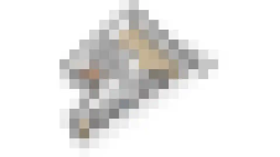 Jasmijn 18 Tiel thumbnail 33