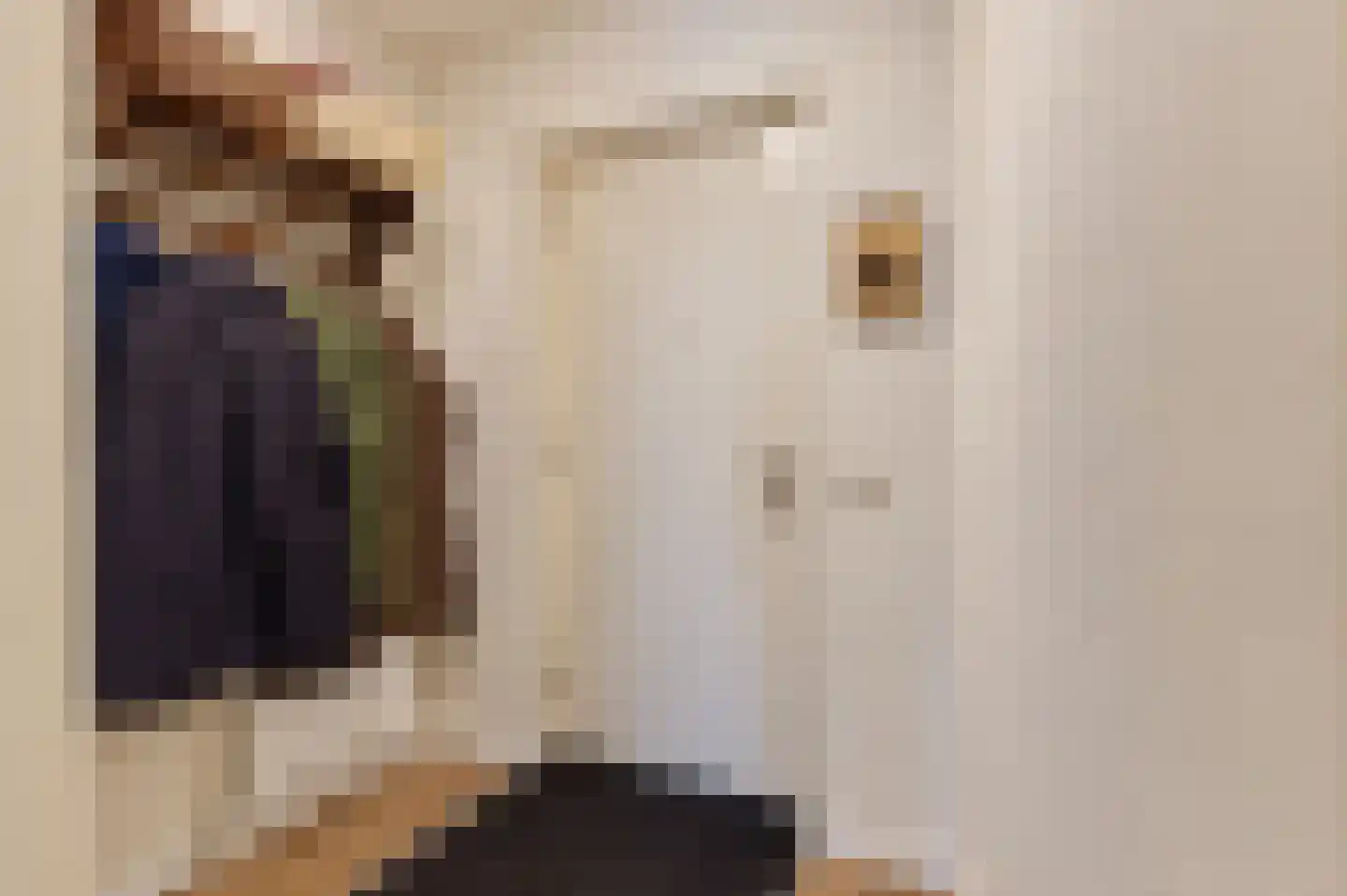 Jasmijn 18 Tiel thumbnail 6
