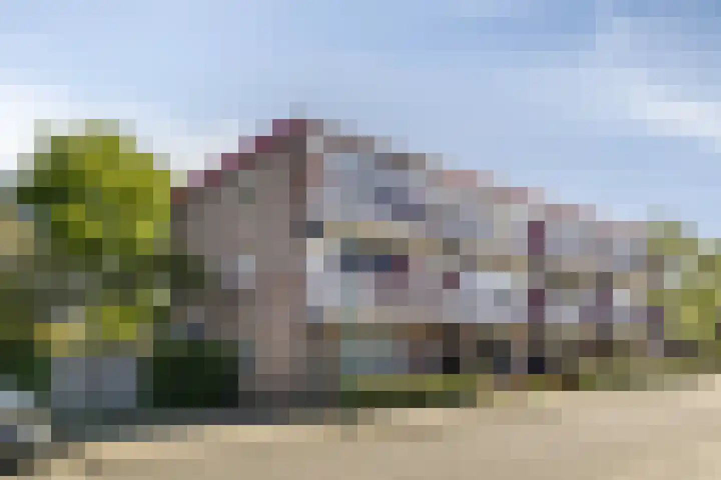 Jasmijn 25 Veenendaal