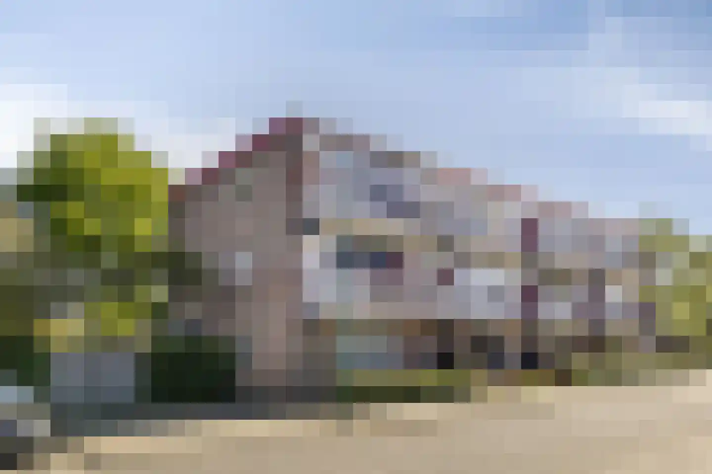 Jasmijn 25 Veenendaal