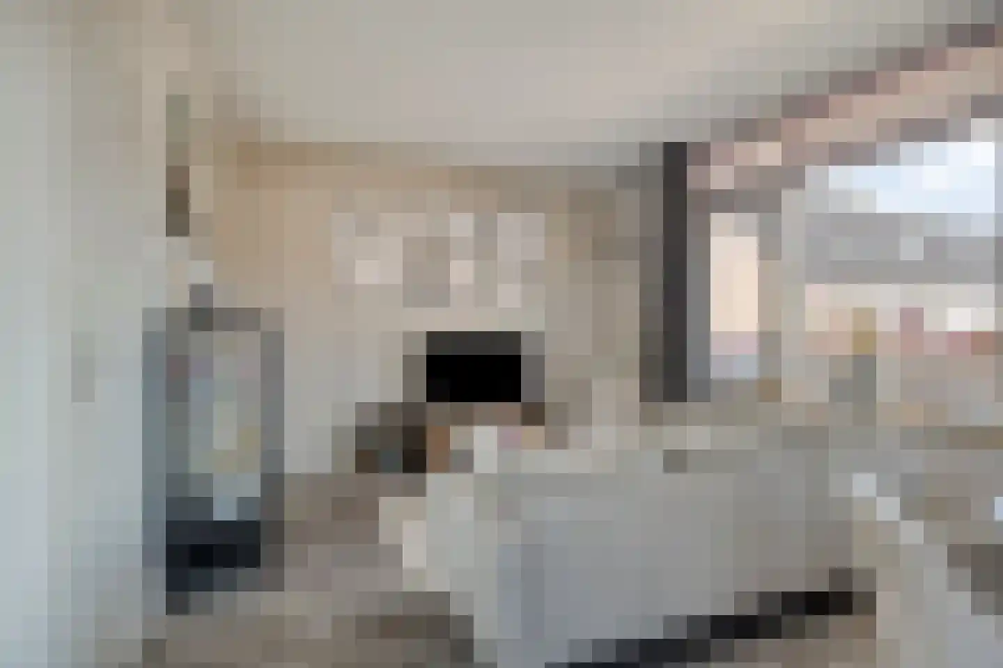 Jasmijn 25 Veenendaal thumbnail 6