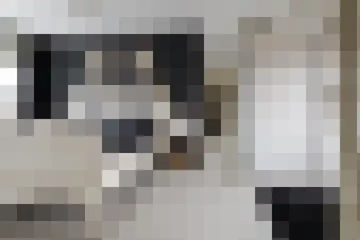 Jasmijn 4 Coevorden thumbnail 13