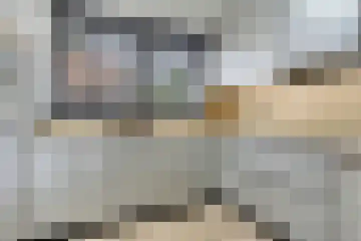Jasmijn 4 Coevorden thumbnail 18