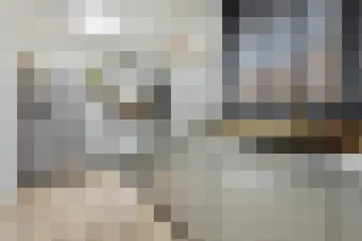 Jasmijn 4 Coevorden thumbnail 19