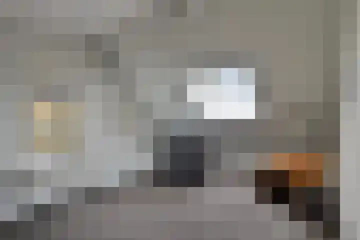 Jasmijn 4 Coevorden thumbnail 39
