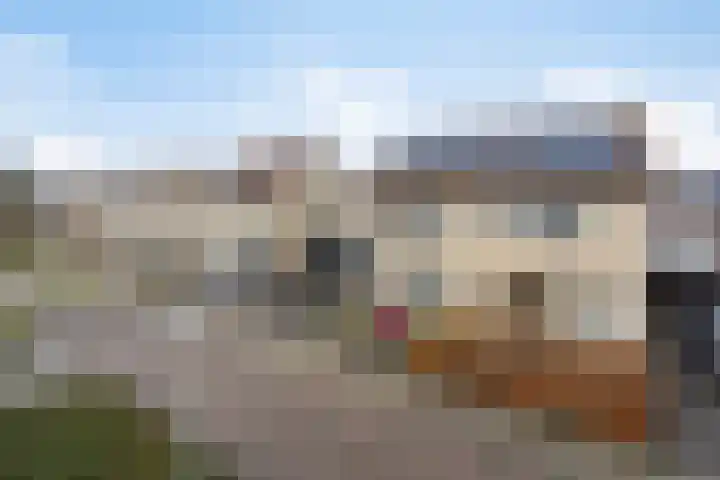 Jasmijn 4 Coevorden thumbnail 45