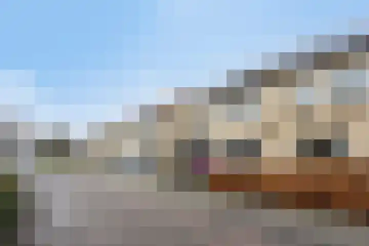 Jasmijn 4 Coevorden thumbnail 47
