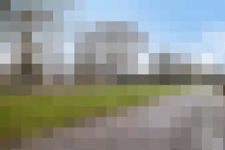Jasmijn 4 Coevorden thumbnail 48