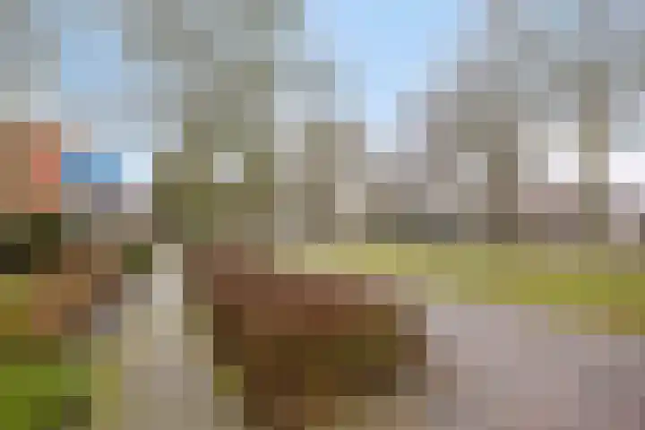 Jasmijn 4 Coevorden thumbnail 49