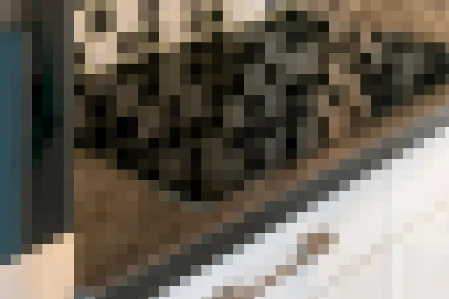 Jasmijn 4 Tiel thumbnail 12