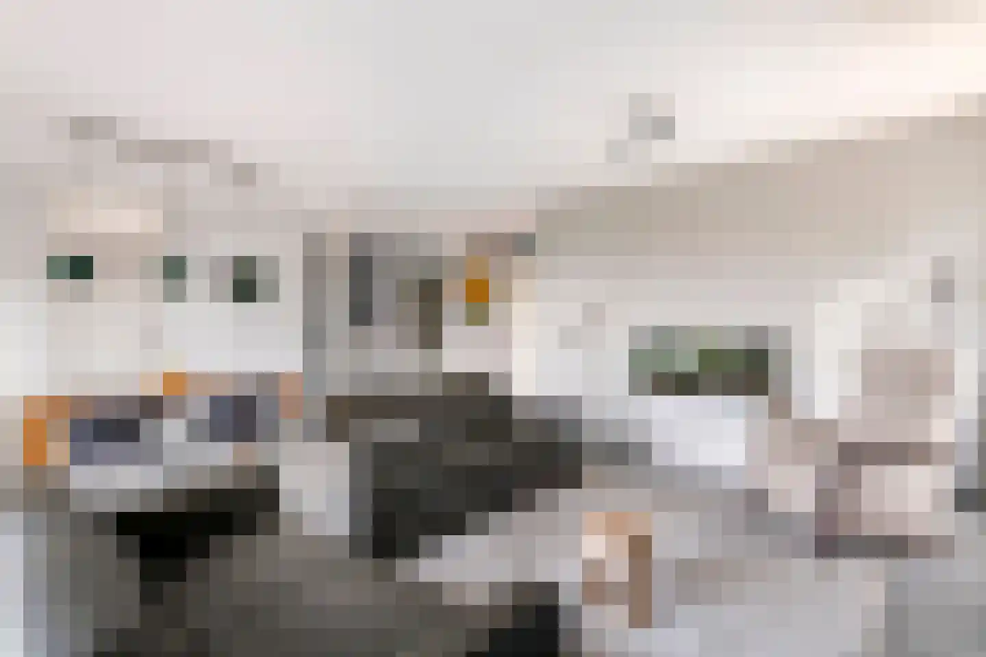 Jasmijn 4 Tiel thumbnail 4