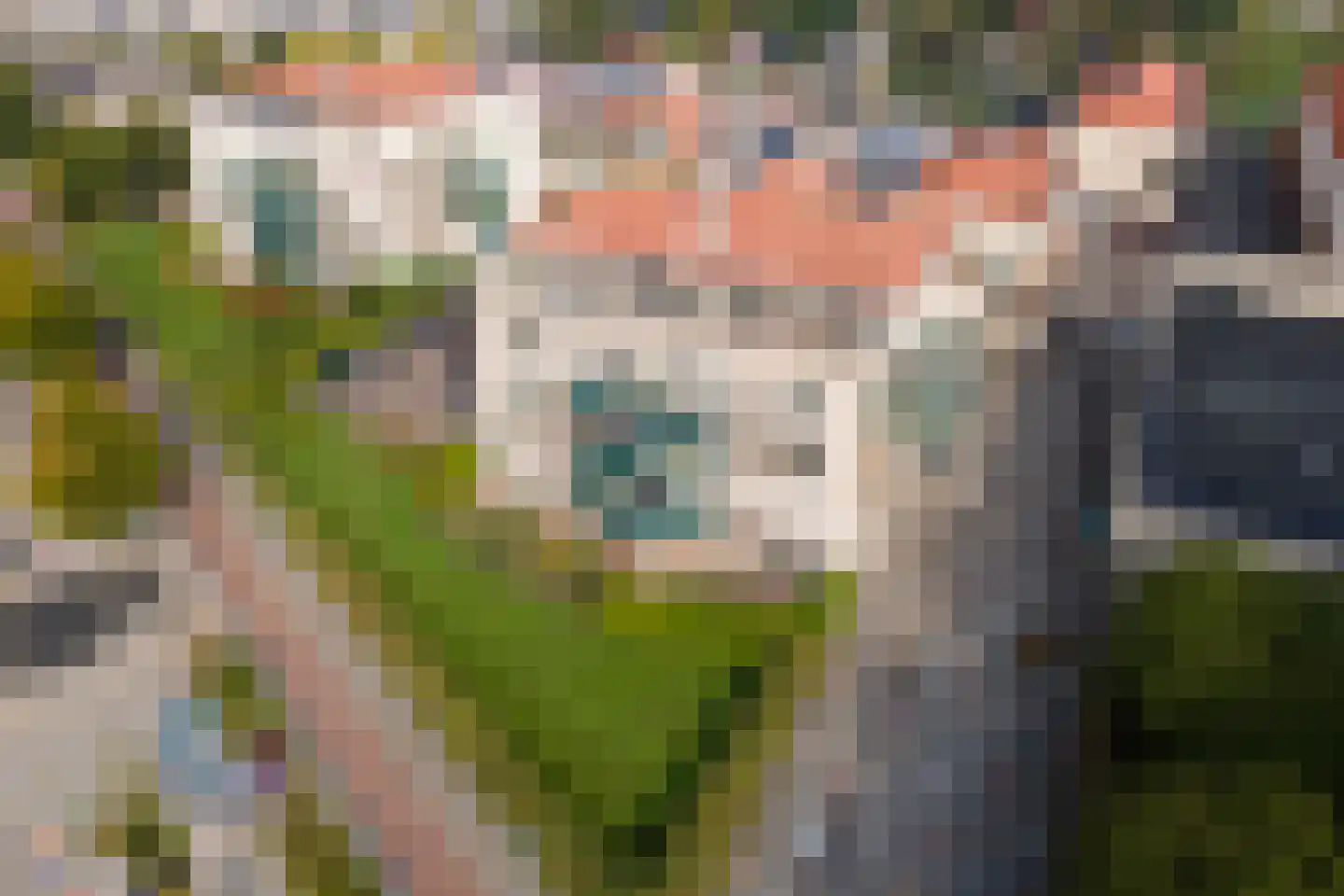 Jasmijn 4 Tiel thumbnail 41