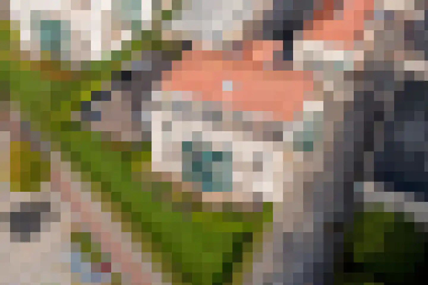 Jasmijn 4 Tiel thumbnail 42