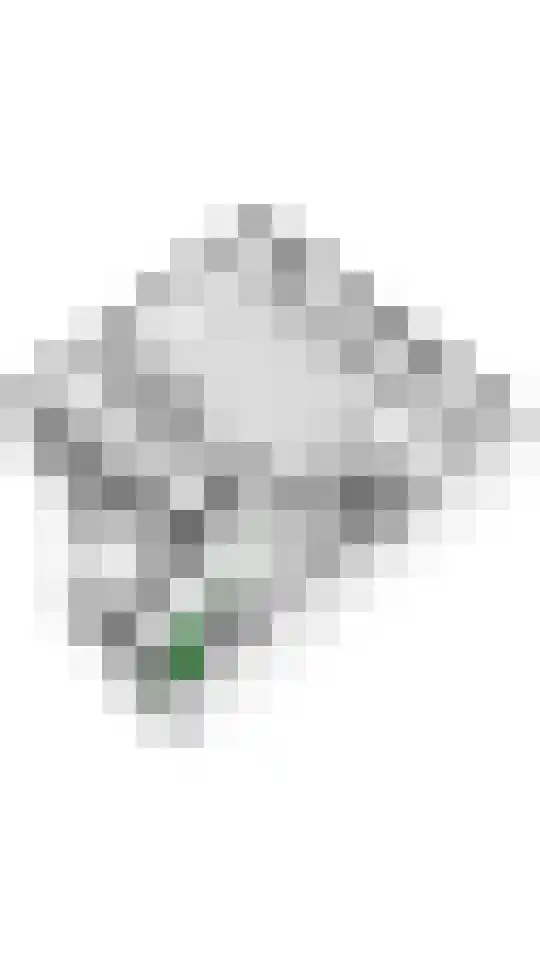 Jasmijn 4 Tiel thumbnail 46