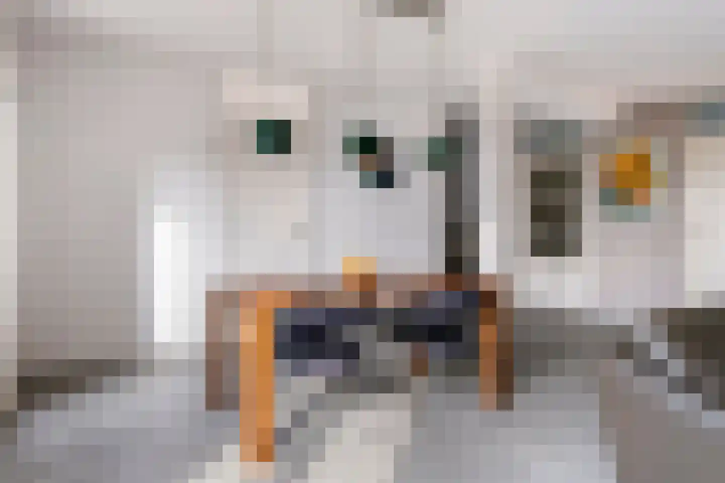 Jasmijn 4 Tiel thumbnail 5