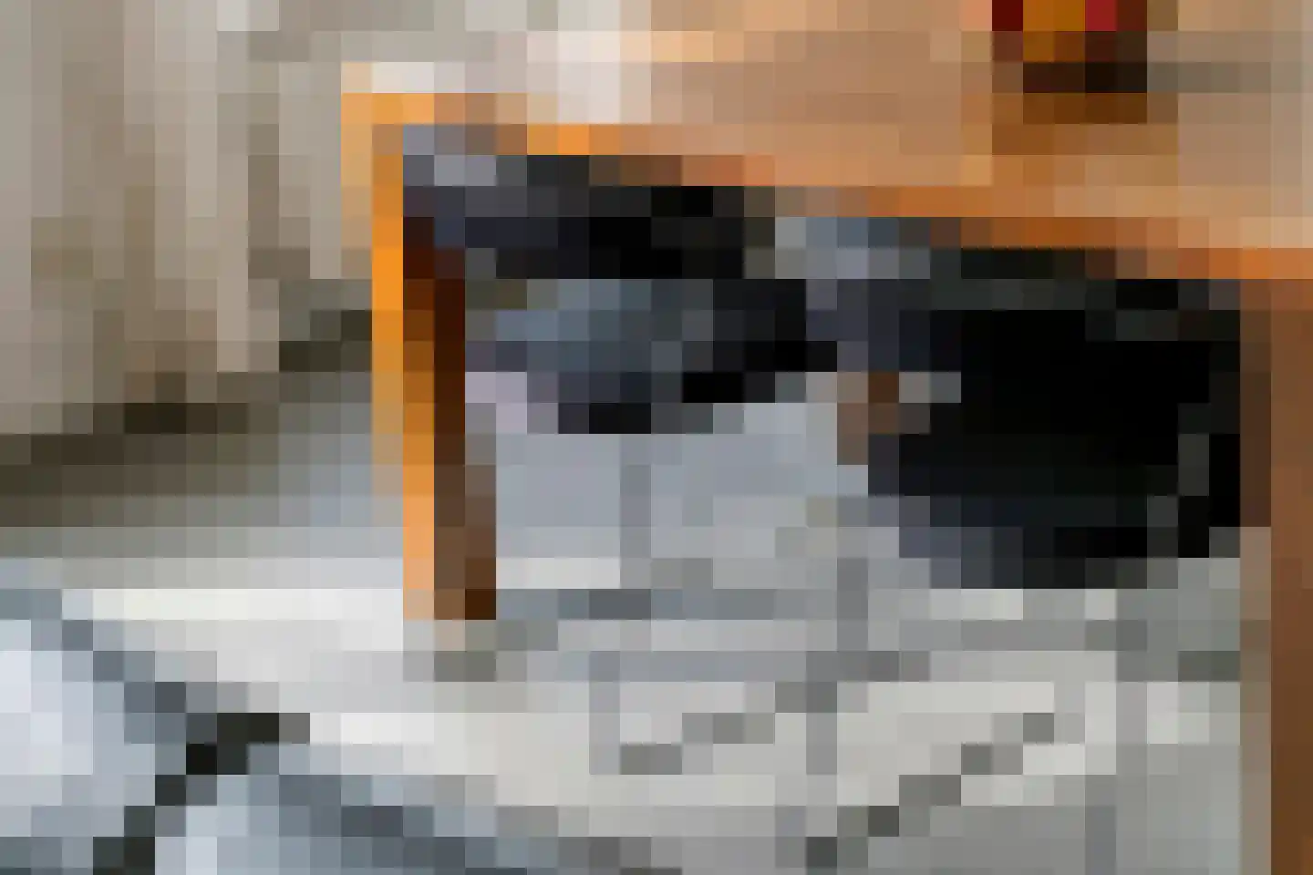 Jasmijn 4 Tiel thumbnail 8