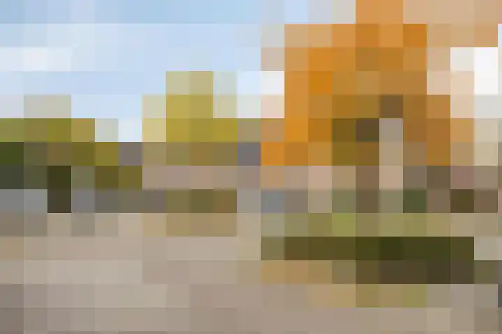 Jasmijn 53 Veenendaal thumbnail 31