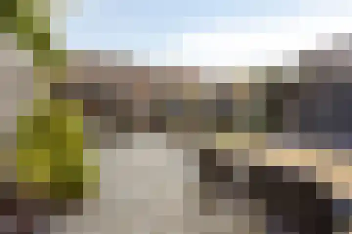 Jasmijn 53 Veenendaal thumbnail 5
