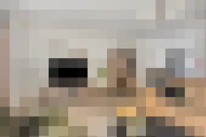 Jasmijn 53 Veenendaal thumbnail 8