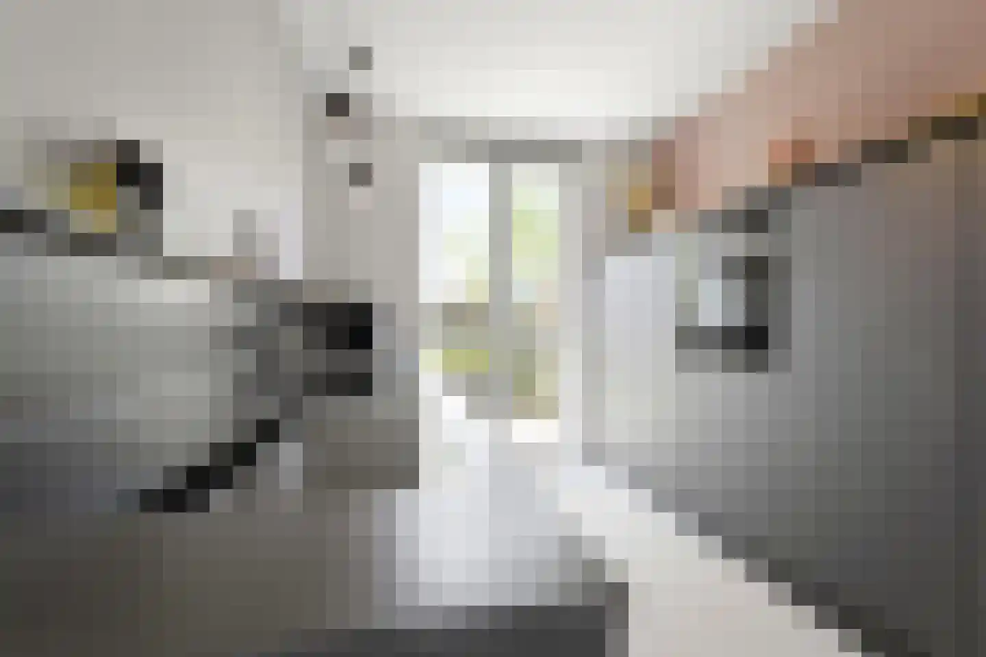 Jasmijn 70 Rijswijk thumbnail 17