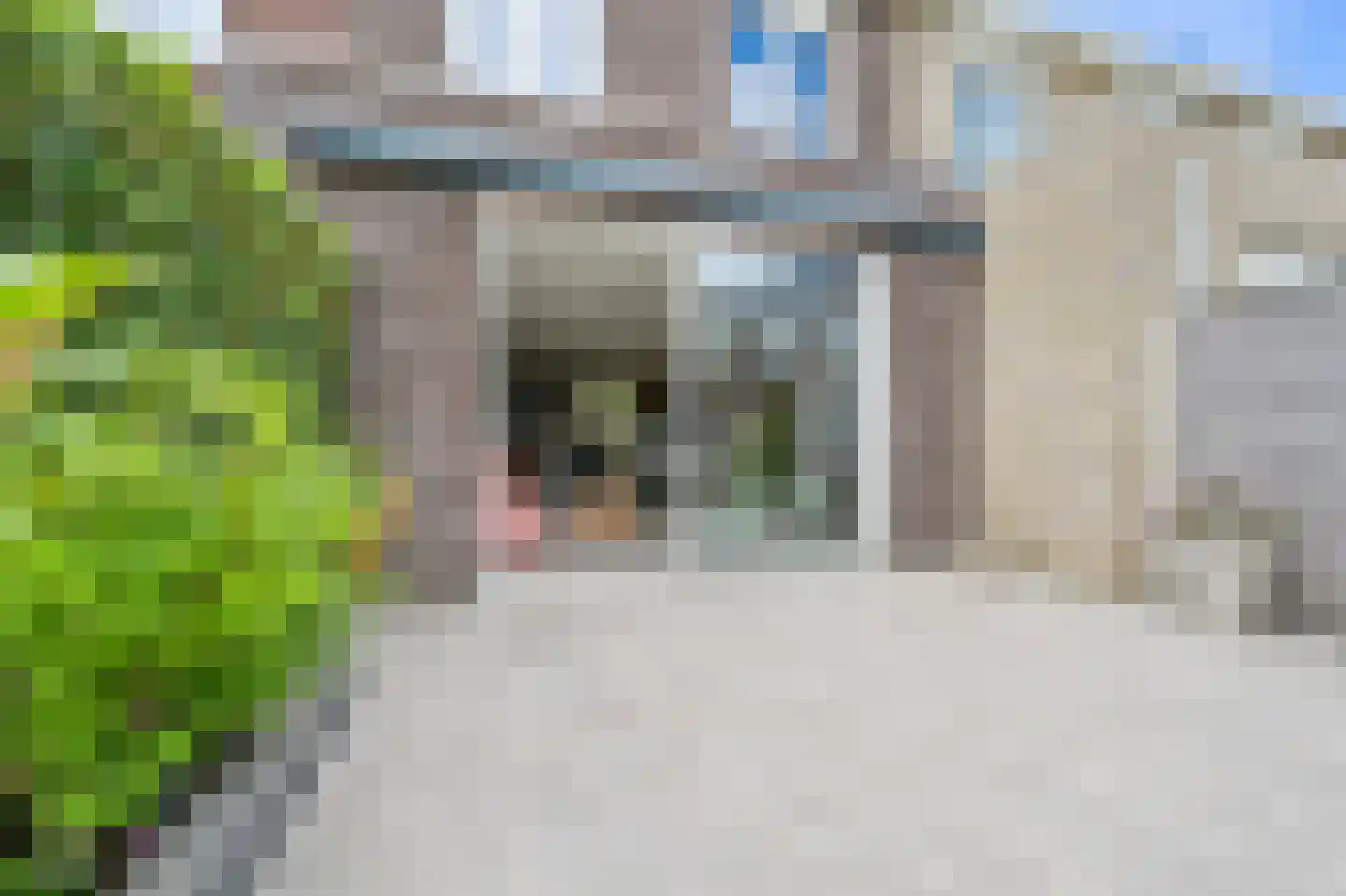 Jasmijn 70 Rijswijk thumbnail 23