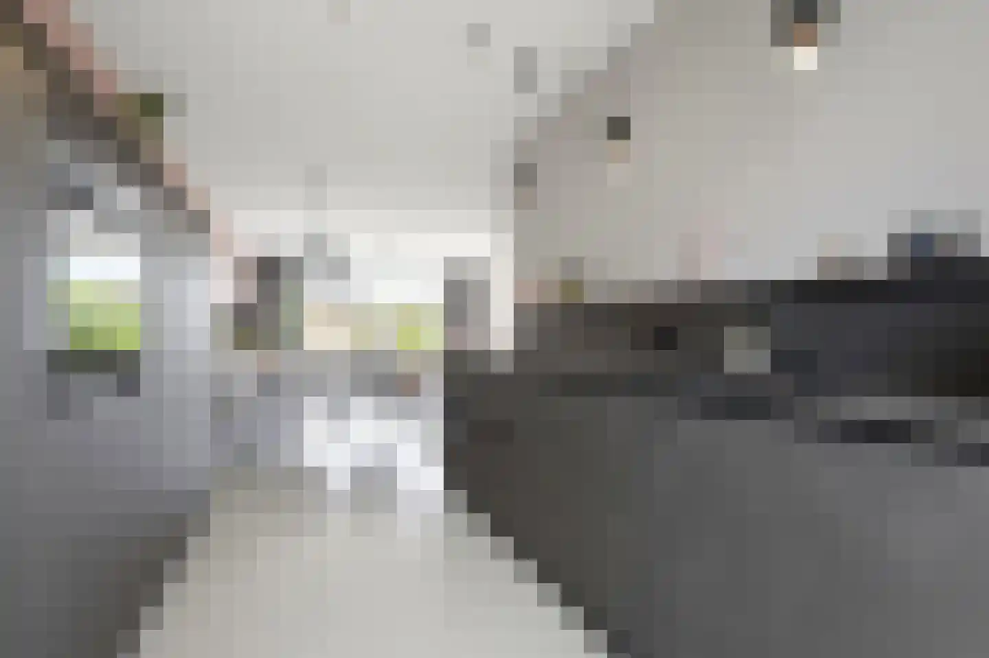 Jasmijn 70 Rijswijk thumbnail 40