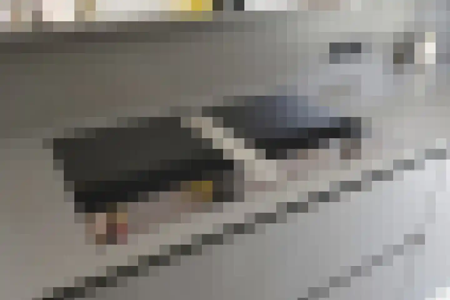 Jasmijn 70 Rijswijk thumbnail 41