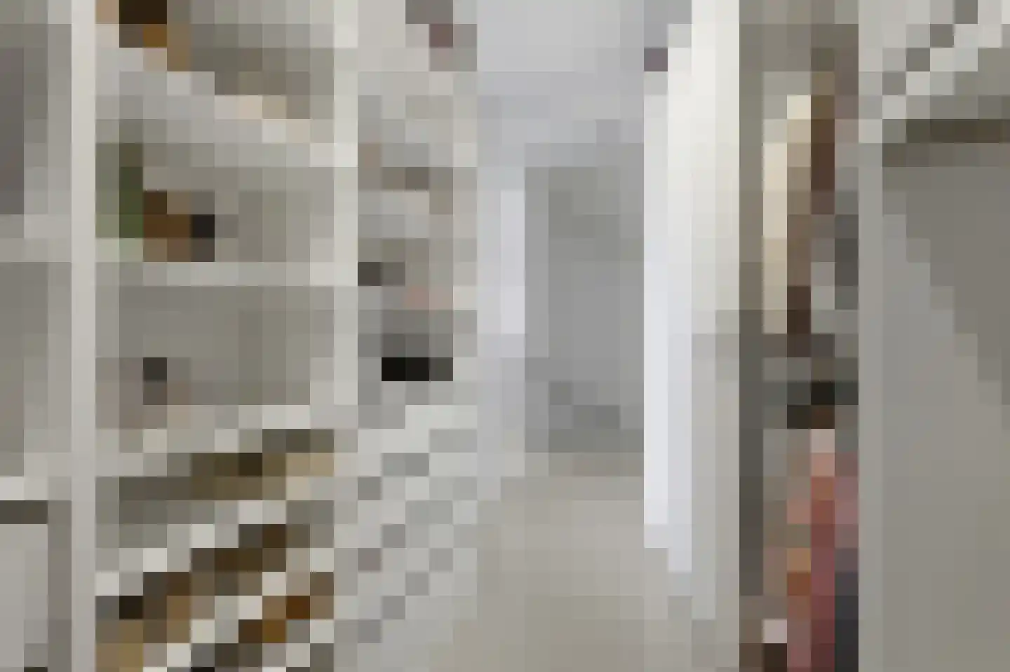 Jasmijn 70 Rijswijk thumbnail 42