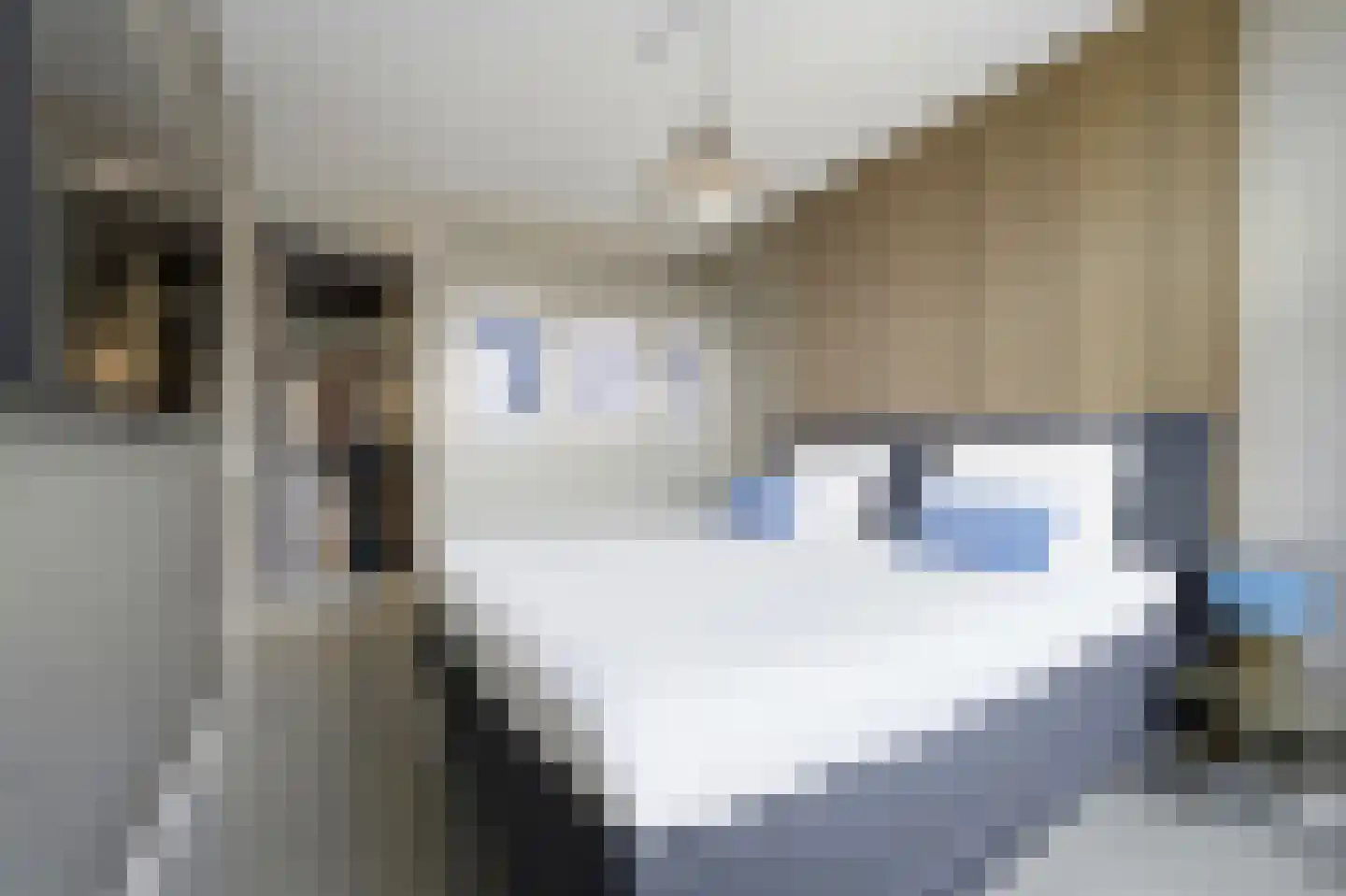 Jasmijn 70 Rijswijk thumbnail 5