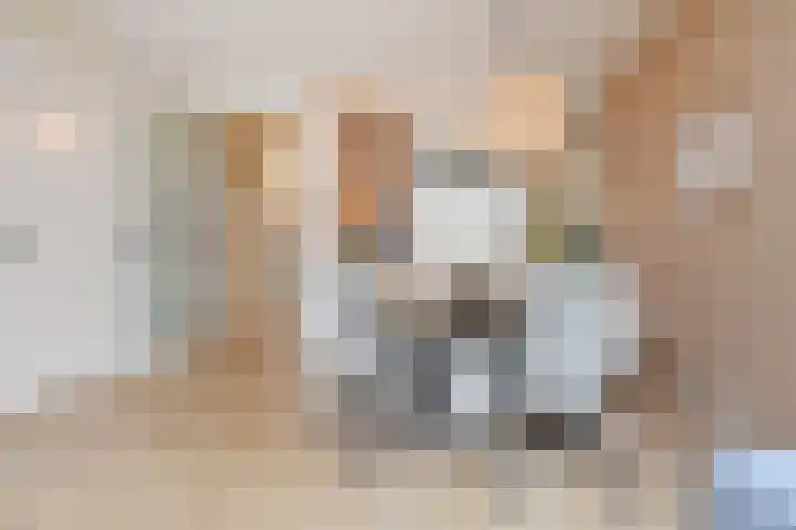 Jasmijn 78 Rijswijk thumbnail 12